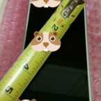 Skarpa bilder på prototyp av Samsung Galaxy S6